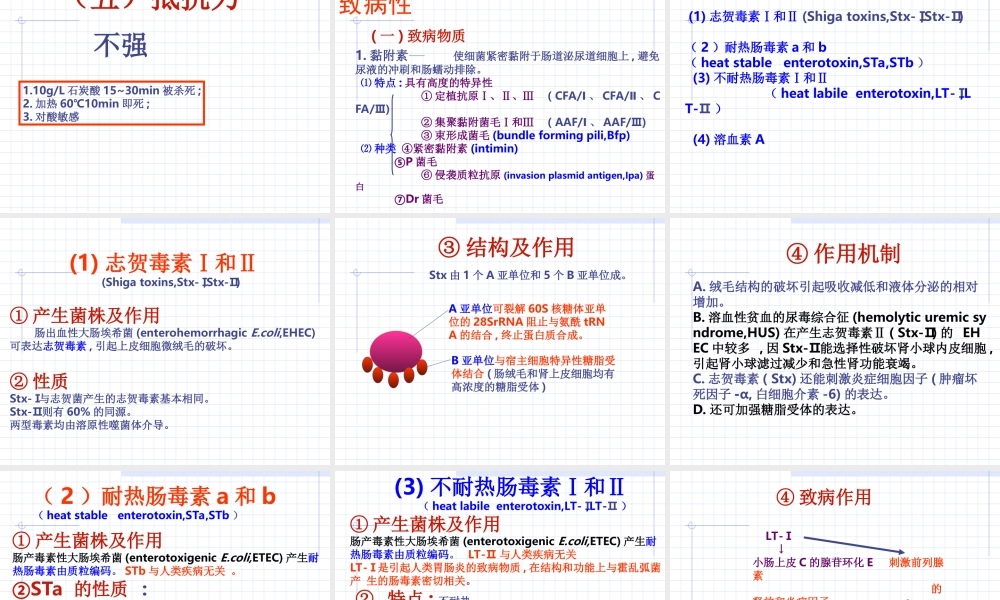 海医第10章--肠杆菌科-1.ppt