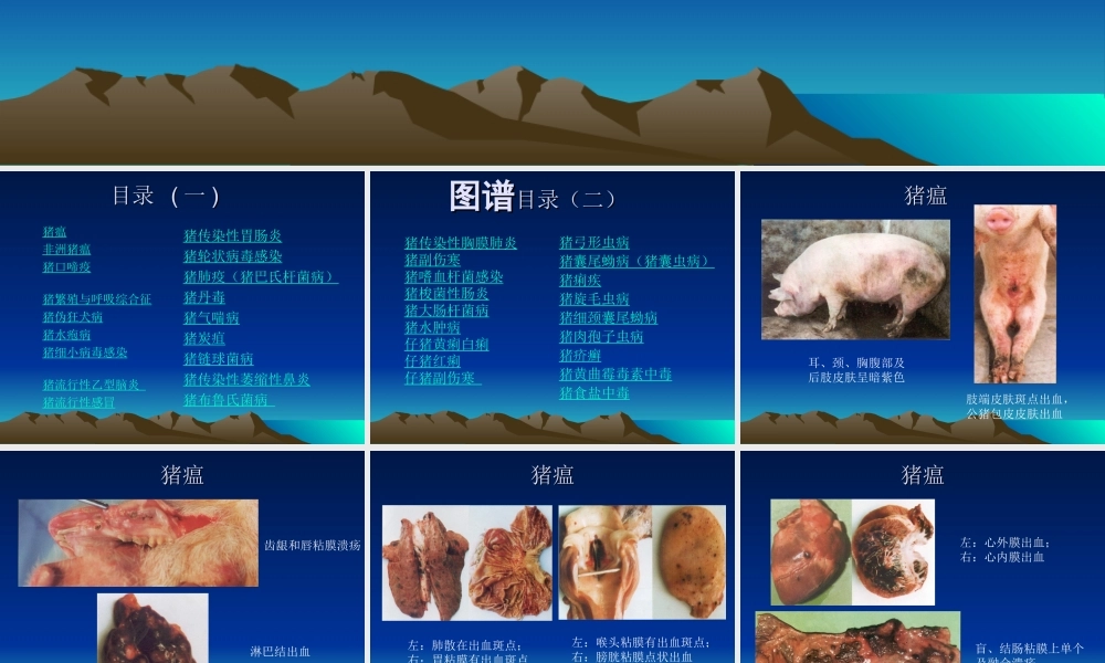 猪病图谱.ppt
