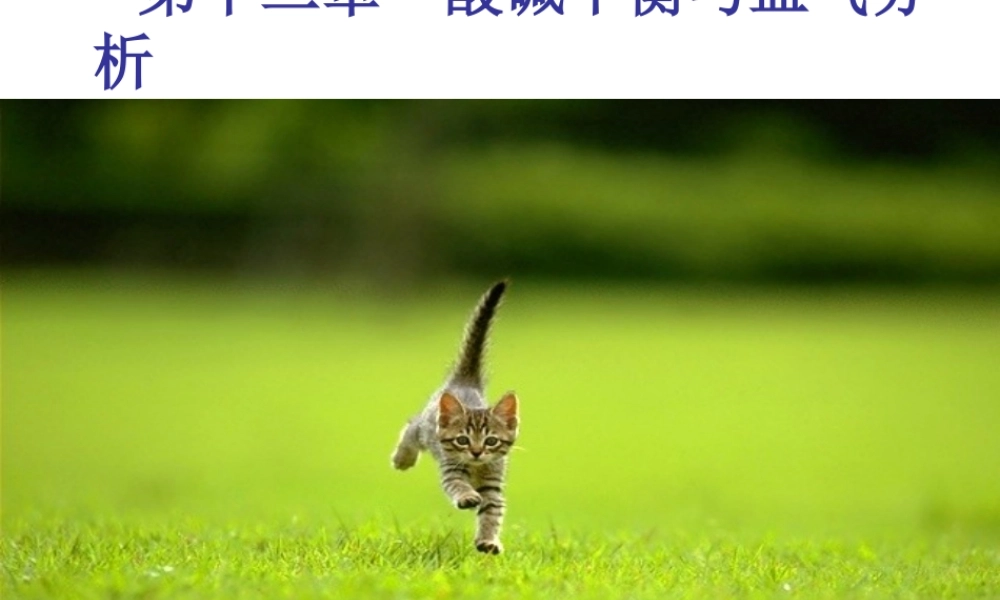 血气分析与酸碱指标测定.ppt