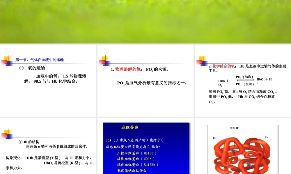 血气分析与酸碱指标测定.ppt