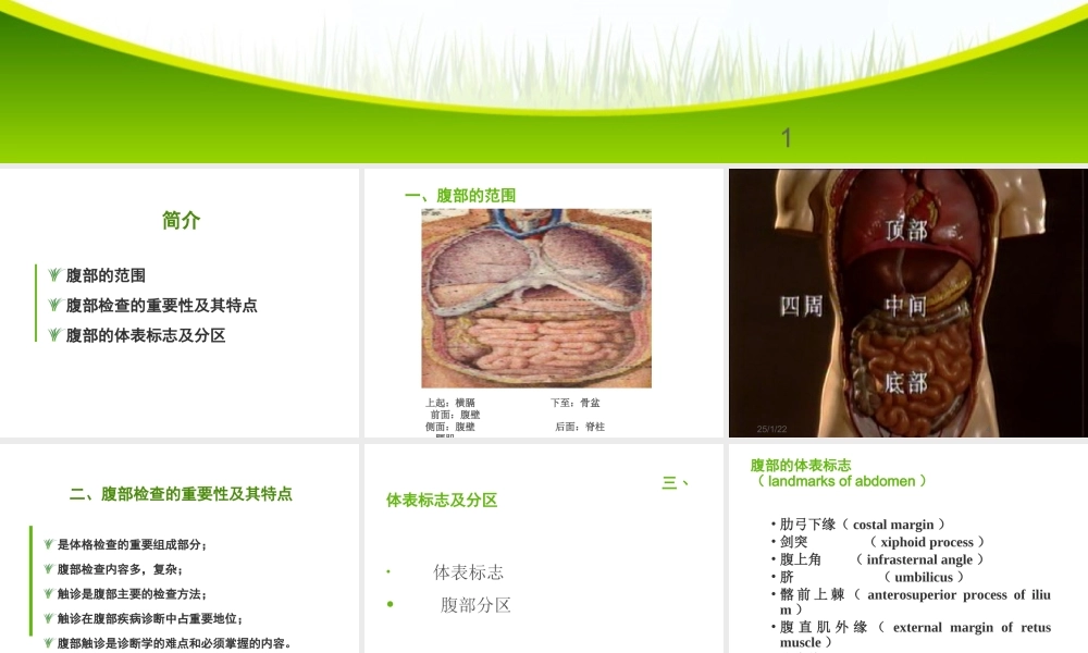 健康评估腹部.ppt