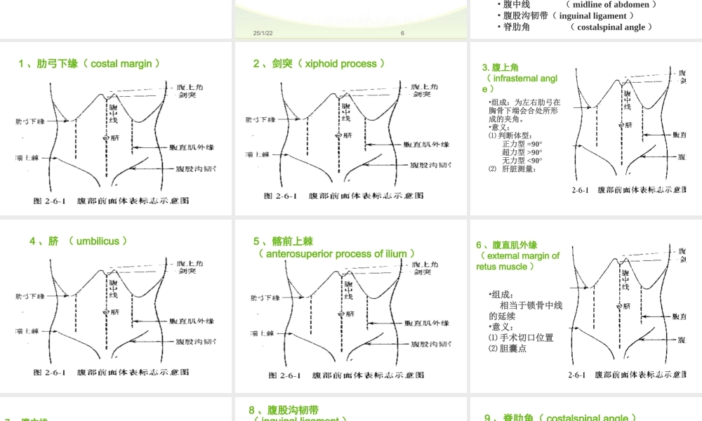 健康评估腹部.ppt