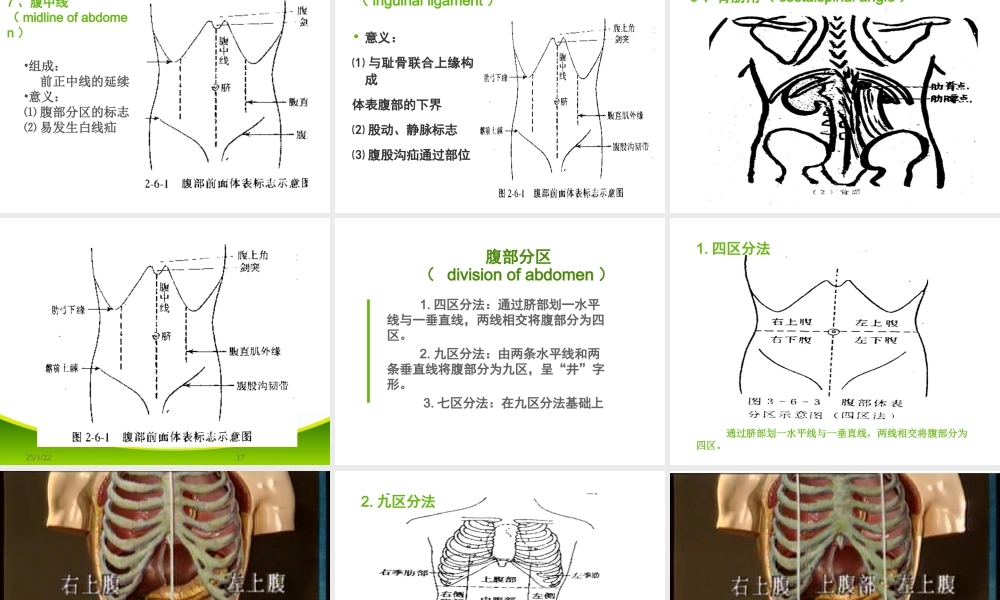 健康评估腹部.ppt