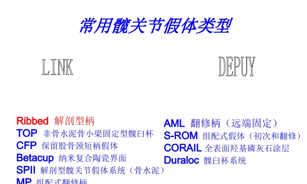 常用髋关节假体类.ppt