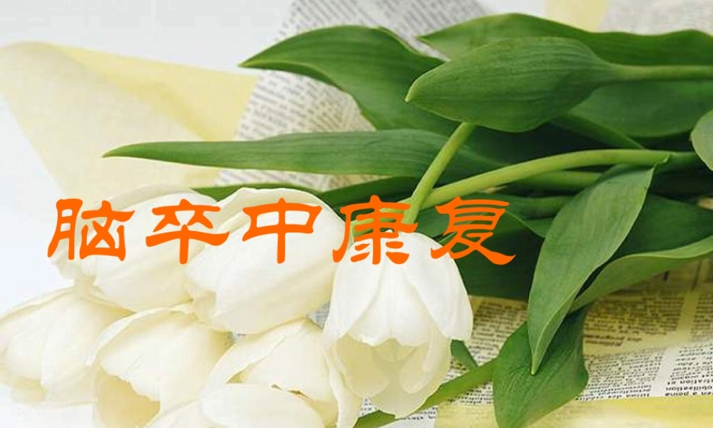 最新权威-脑卒中康复.ppt