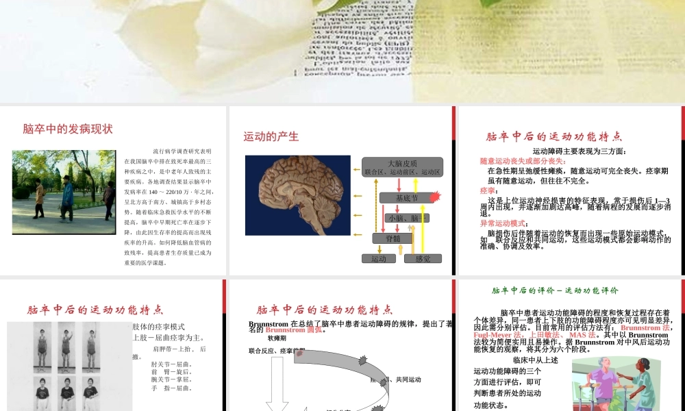 最新权威-脑卒中康复.ppt