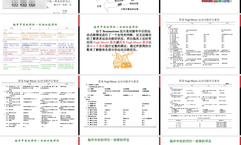 最新权威-脑卒中康复.ppt