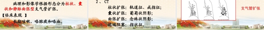 呼吸系统1(影像).ppt