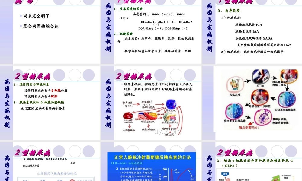 糖尿病(教学).ppt