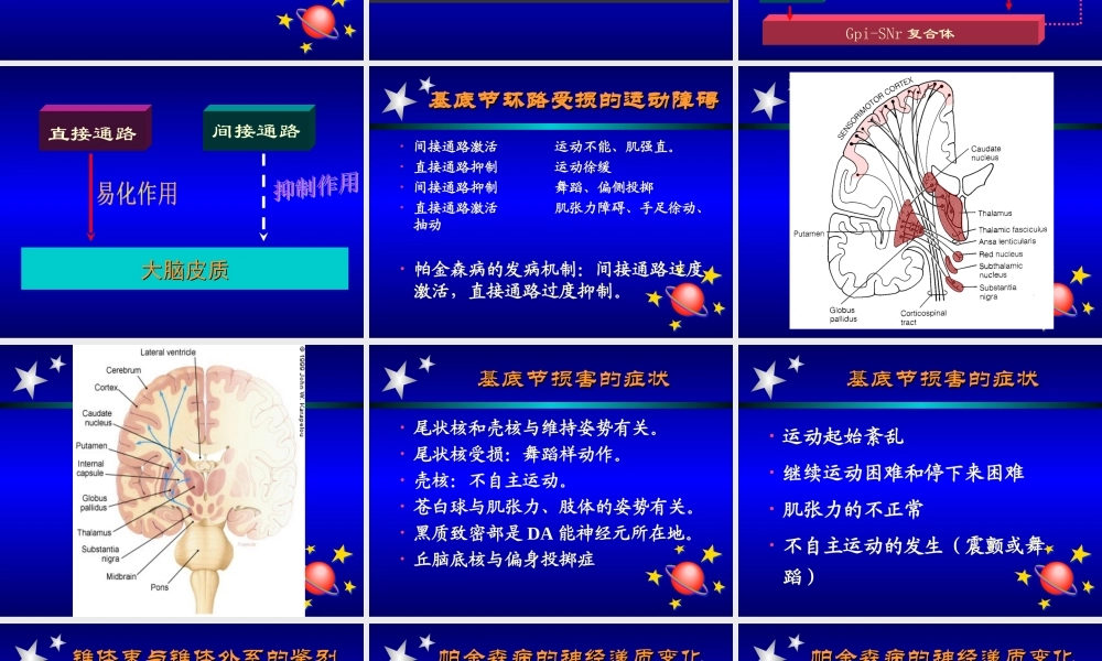 帕金森氏病讲座[1].ppt