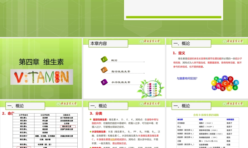 食品营养学第四章-维生素.pptx