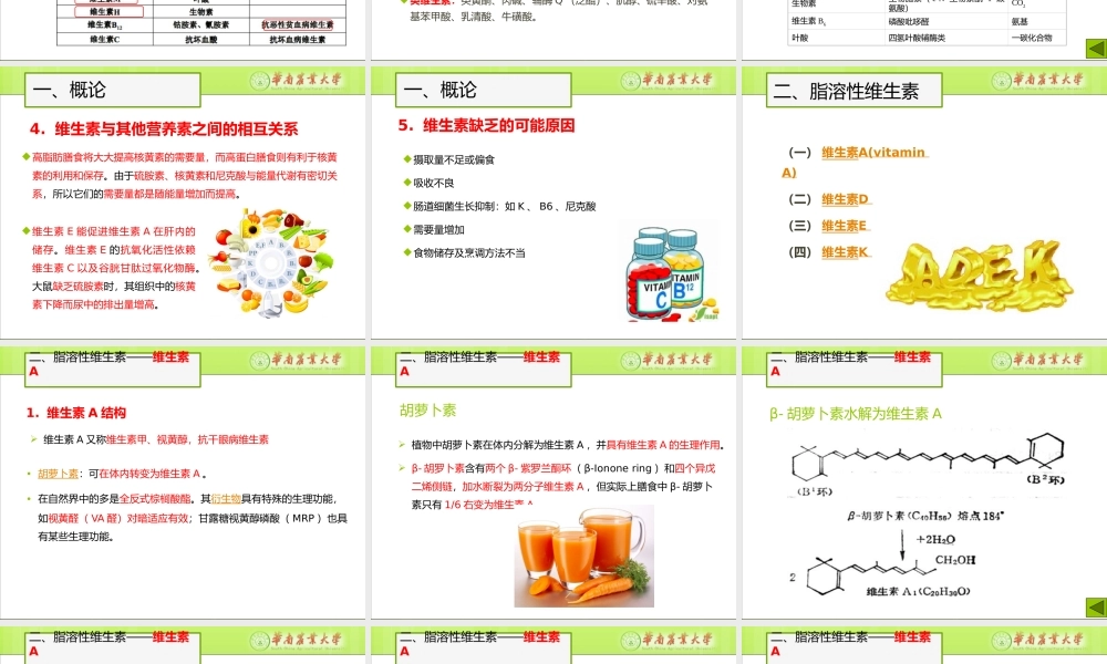 食品营养学第四章-维生素.pptx
