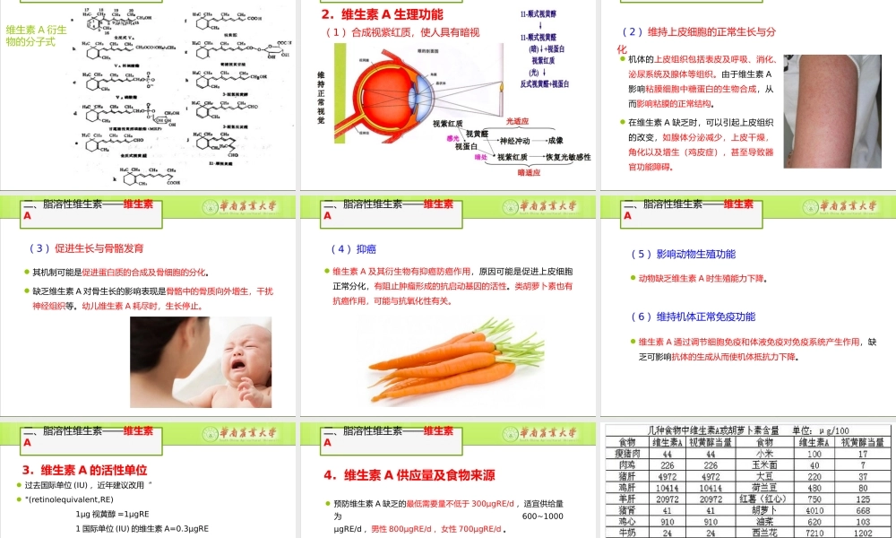 食品营养学第四章-维生素.pptx