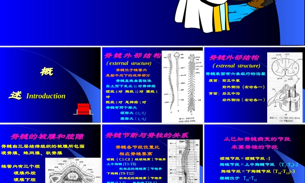 神经病学—脊髓病变.ppt