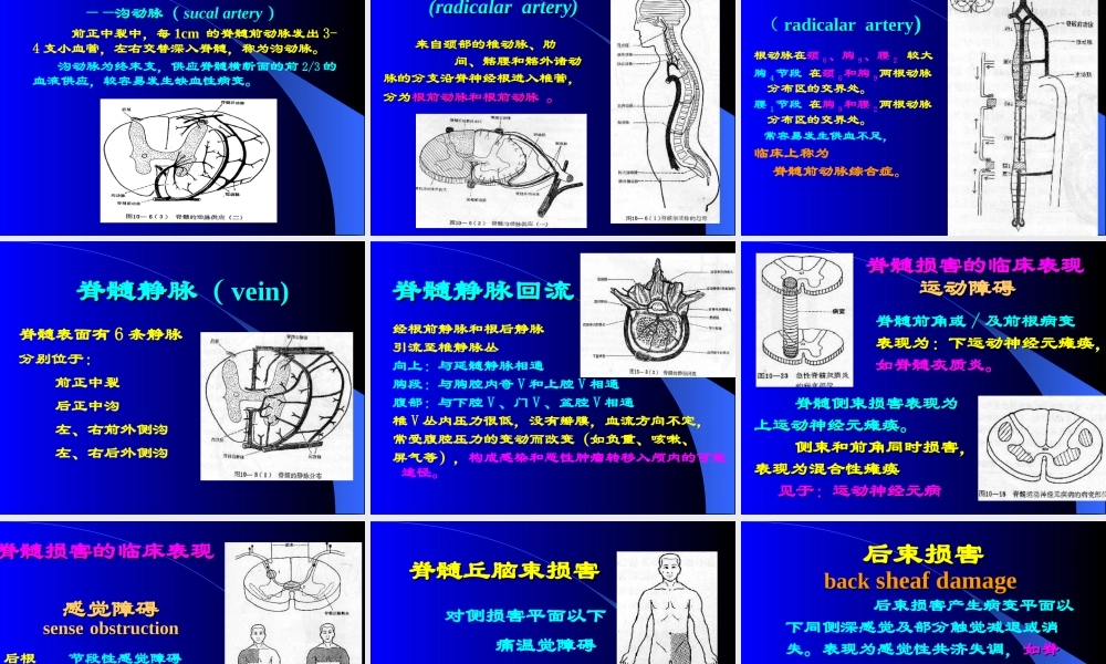 神经病学—脊髓病变.ppt