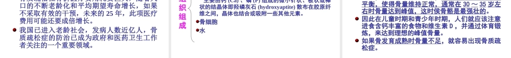 5-3老年骨质疏松症-08-143.ppt