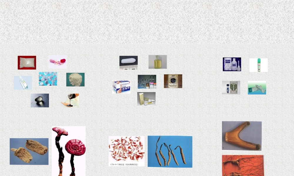 古代药学的发展.ppt