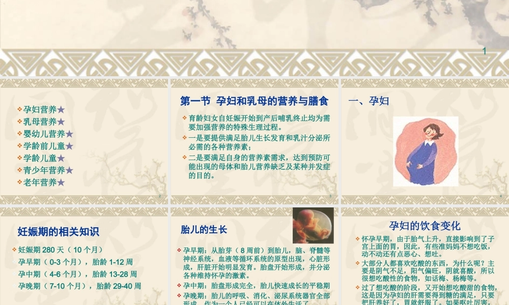 巨幼红细胞贫血.ppt