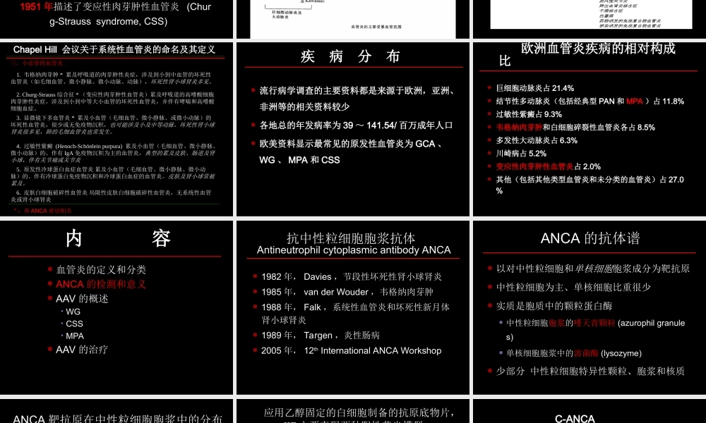 ANCA相关小血管炎.ppt