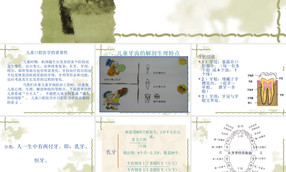 儿童口腔.ppt