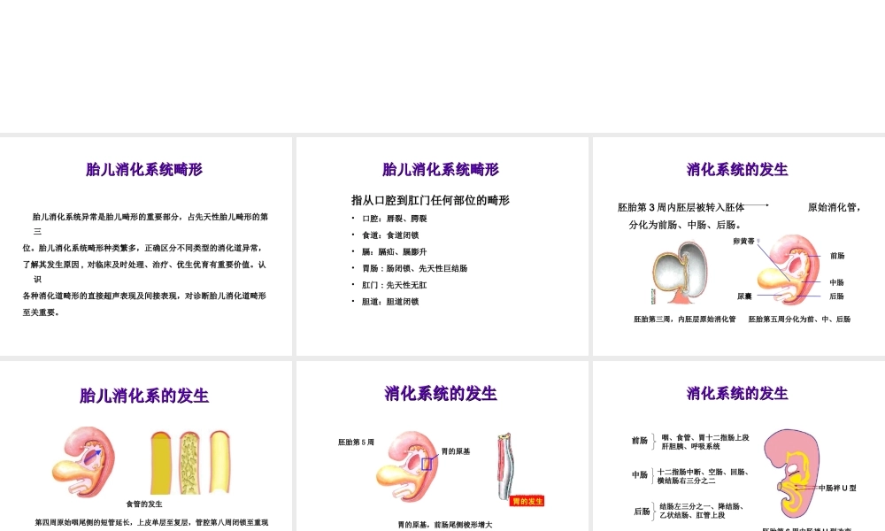 胎儿消化系统超声检查.ppt