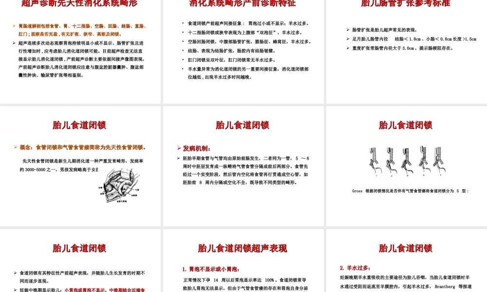 胎儿消化系统超声检查.ppt