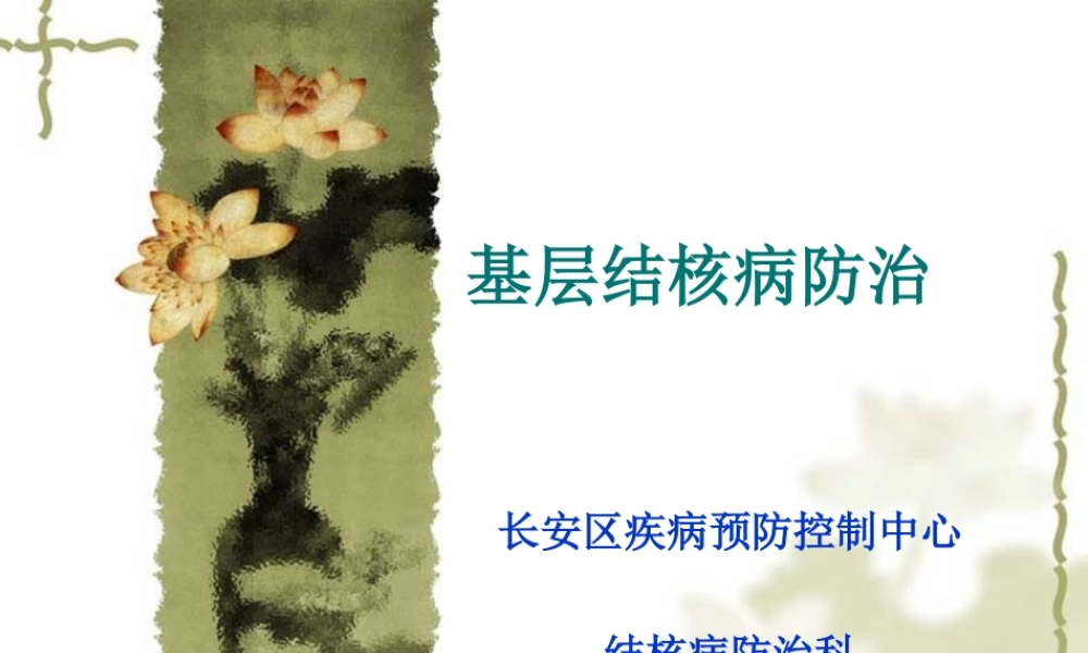 基层结核病防治.ppt