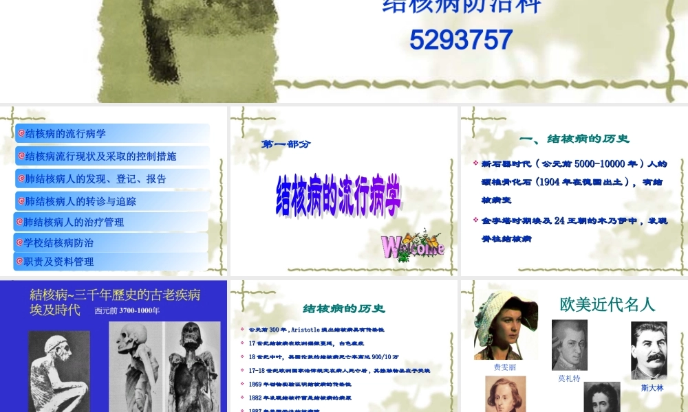 基层结核病防治.ppt