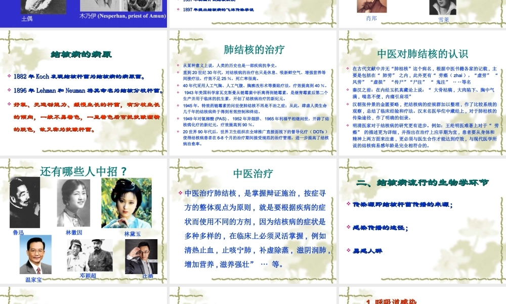 基层结核病防治.ppt