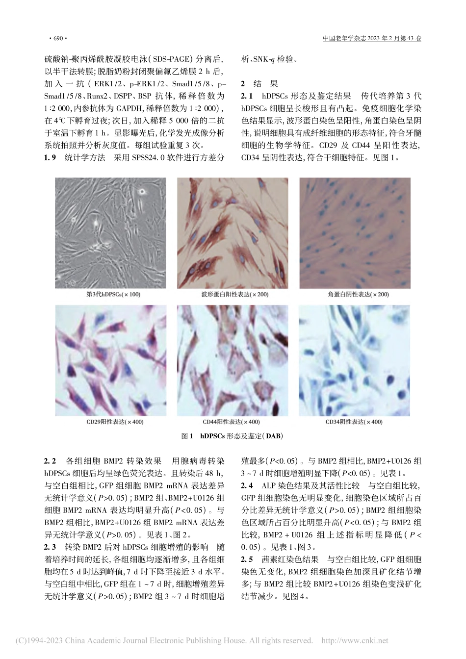 ERK_Smad通路在BM...髓干细胞增殖、分化中的作用_沈玉芹.pdf_第3页