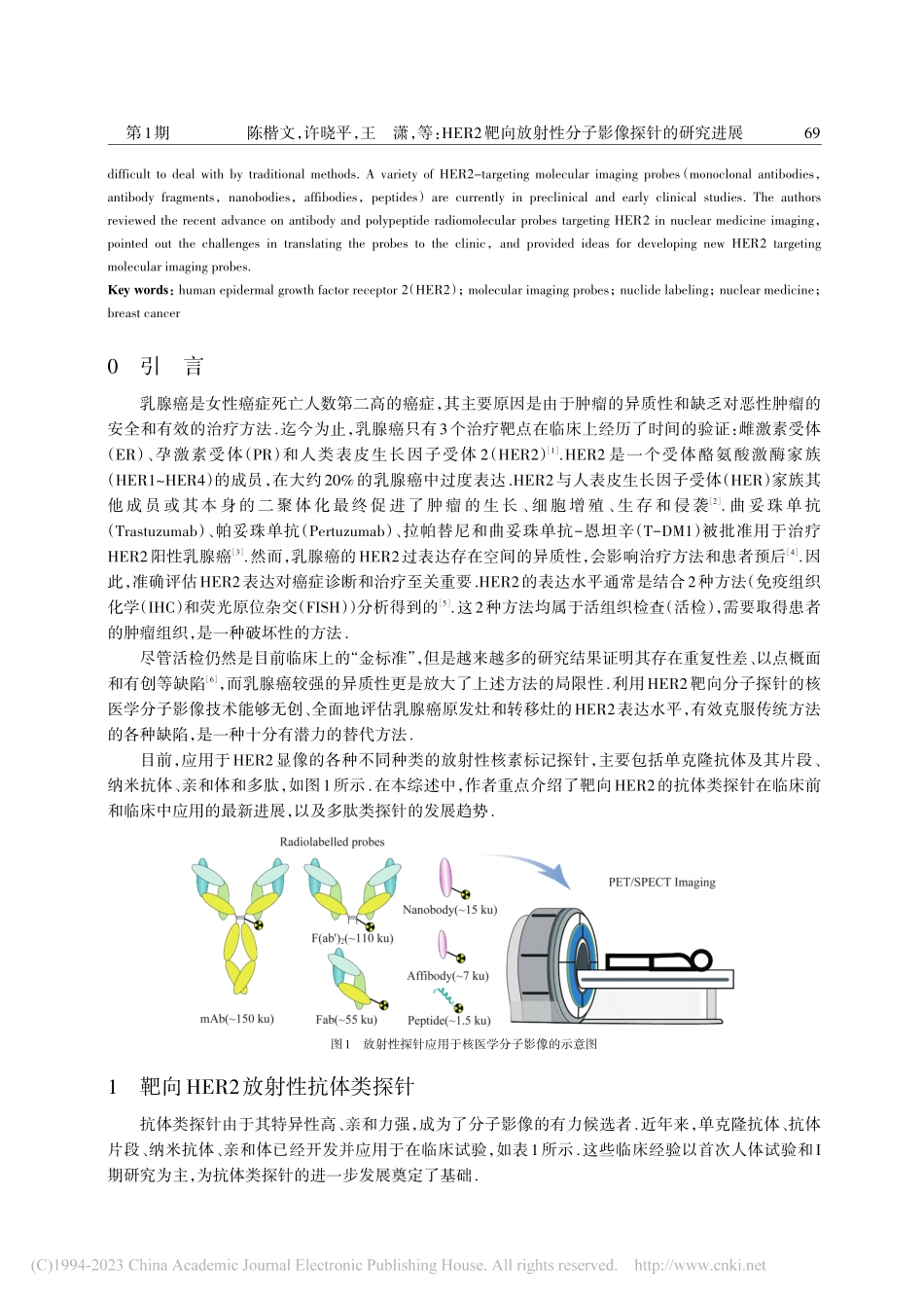 HER2靶向放射性分子影像探针的研究进展_陈楷文.pdf_第2页