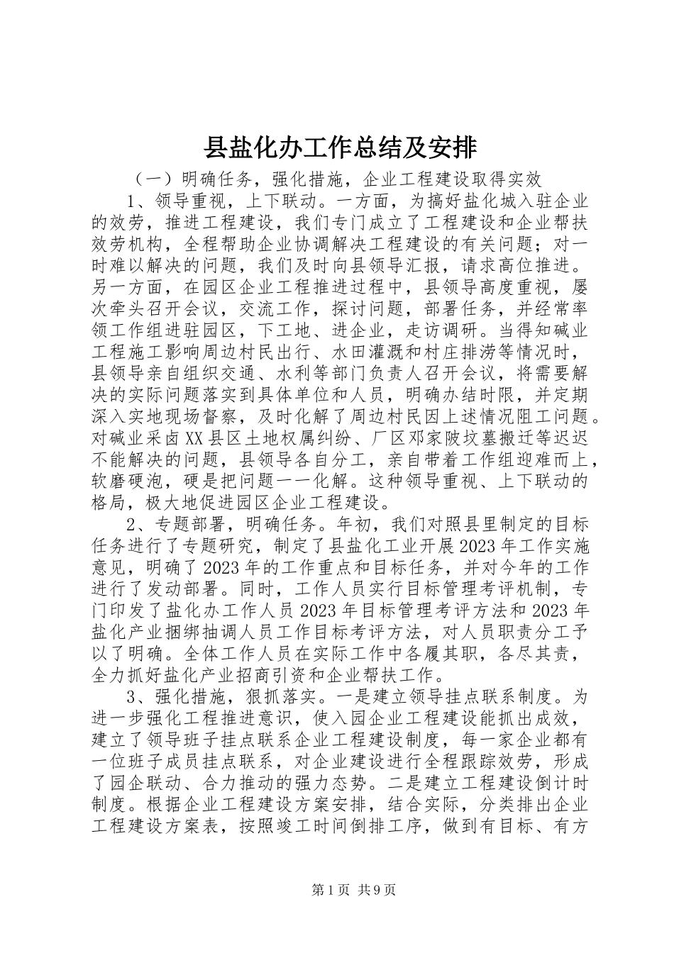 2023年县盐化办工作总结及安排.docx_第1页