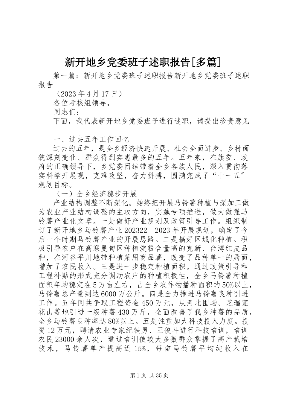 2023年新开地乡党委班子述职报告多篇.docx_第1页