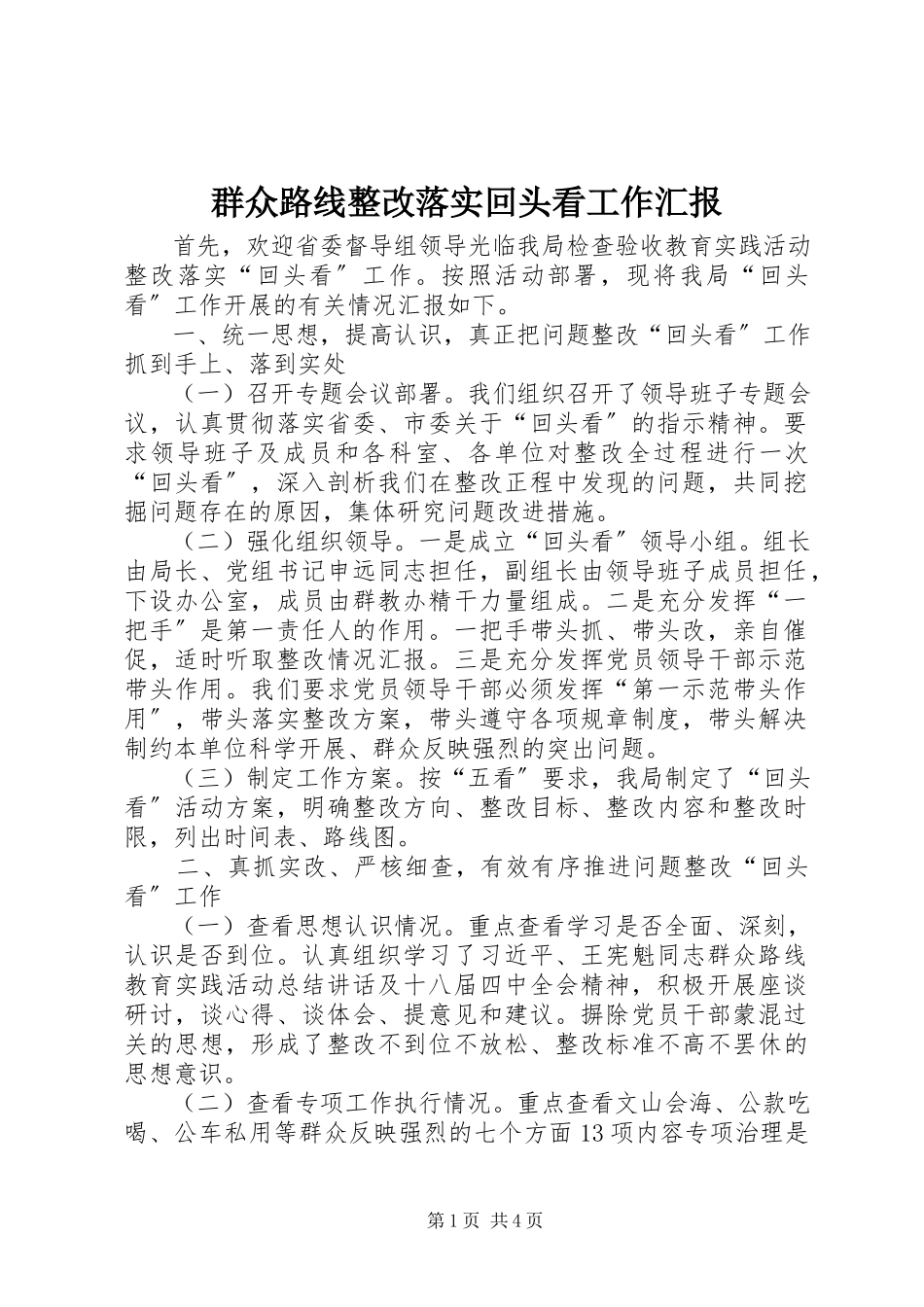 2023年群众路线整改落实回头看工作汇报.docx_第1页