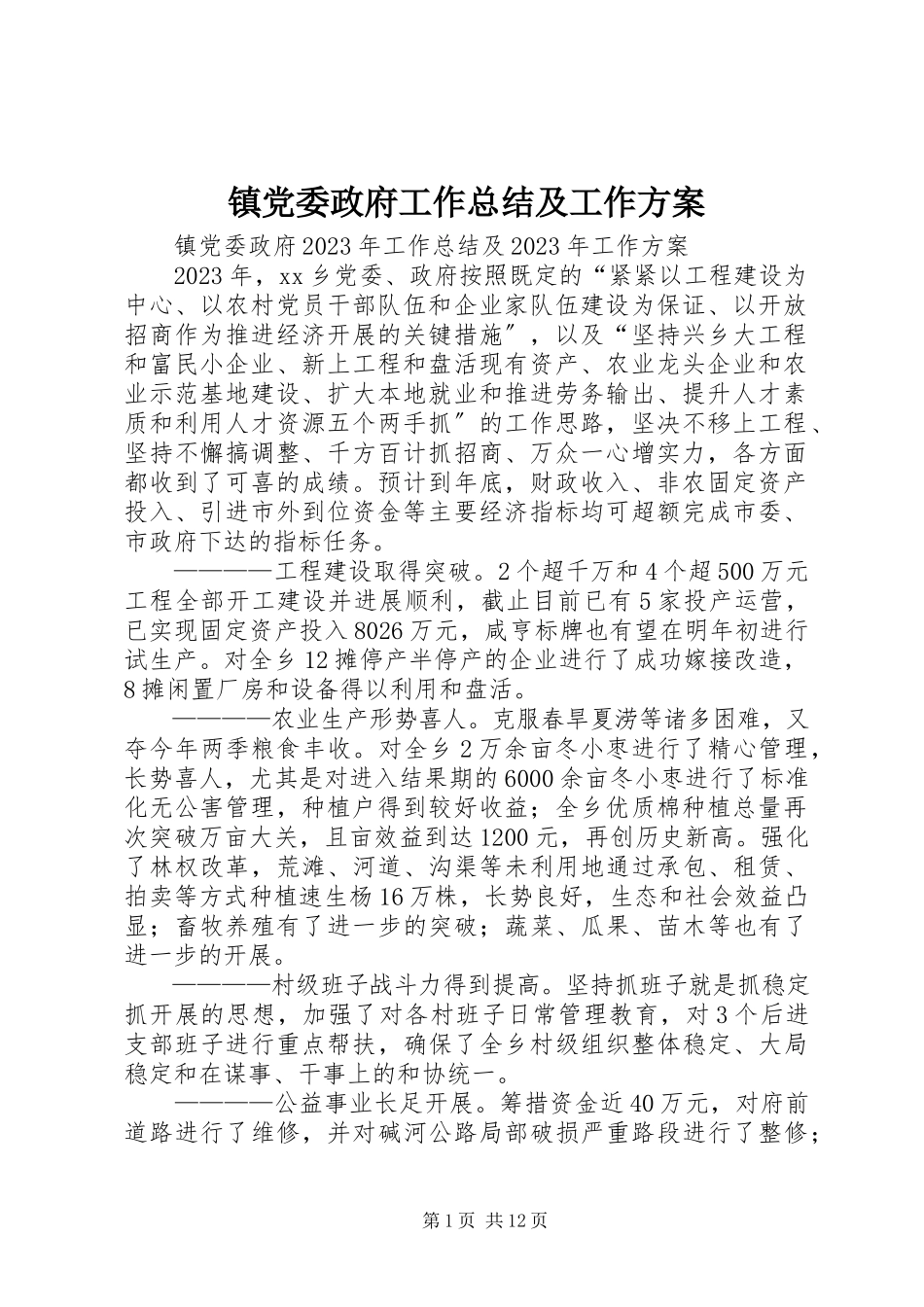 2023年镇党委政府工作总结及工作计划.docx_第1页