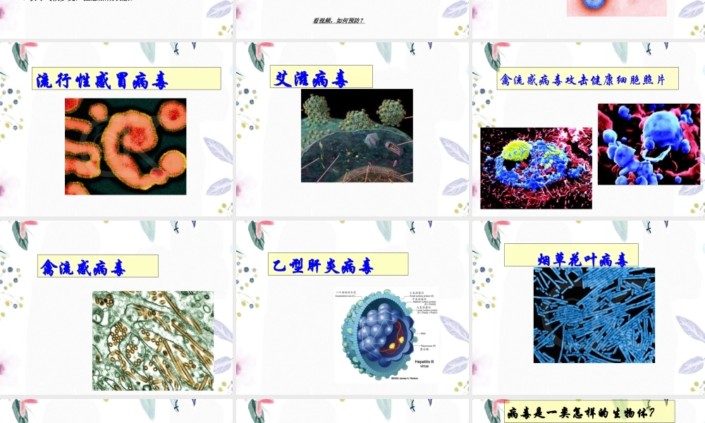 2023年病毒（教学课件）.ppt