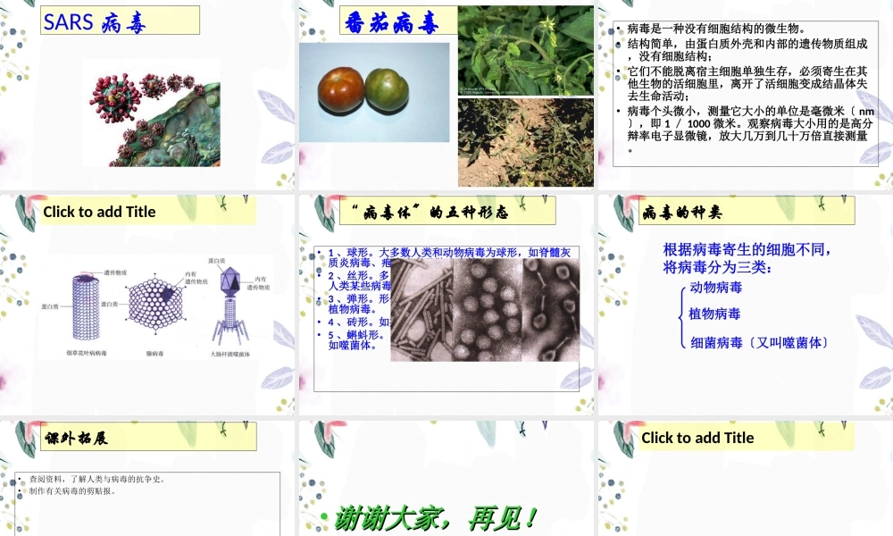 2023年病毒（教学课件）.ppt