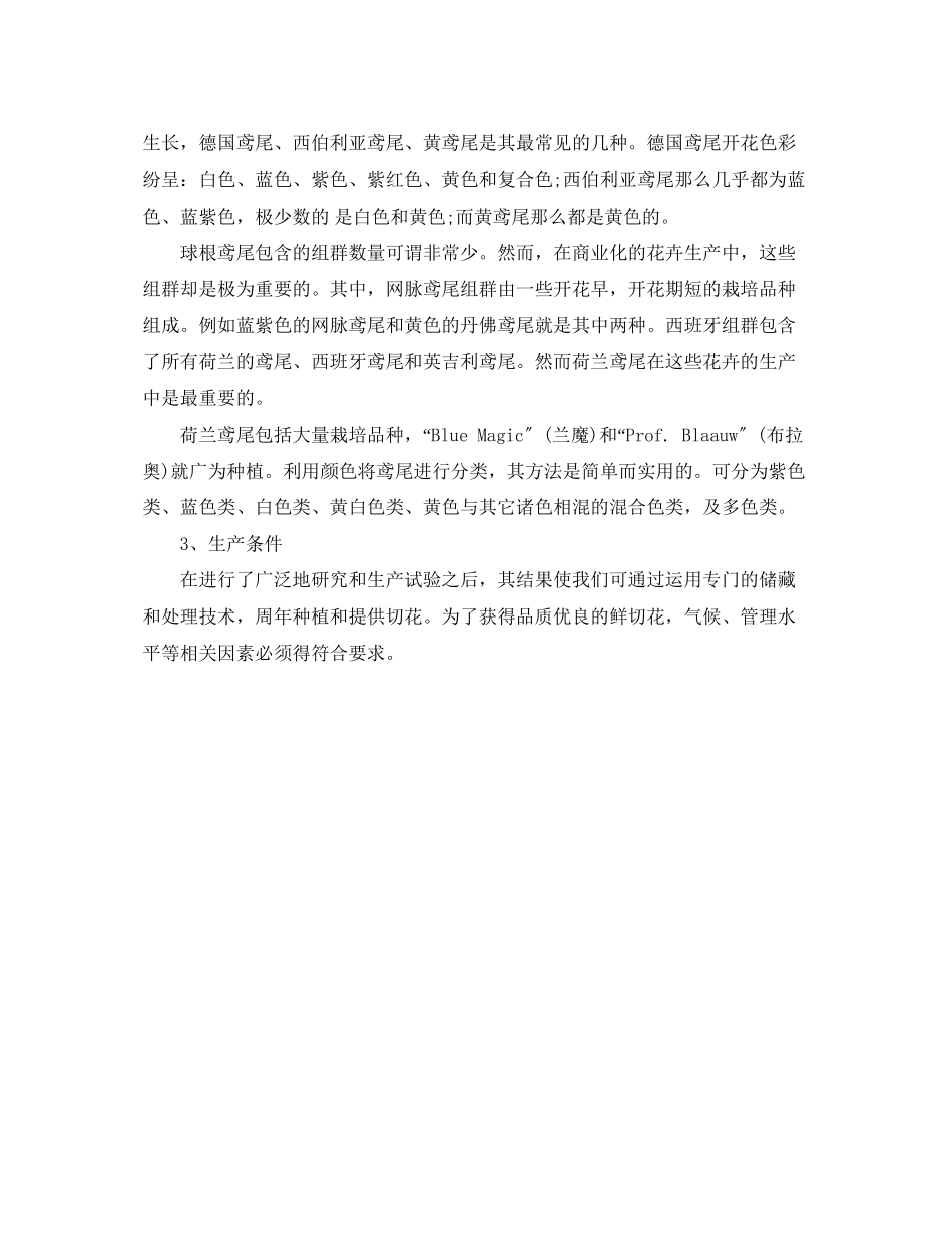 2023年波斯鸢尾花的花语是什么.docx_第2页