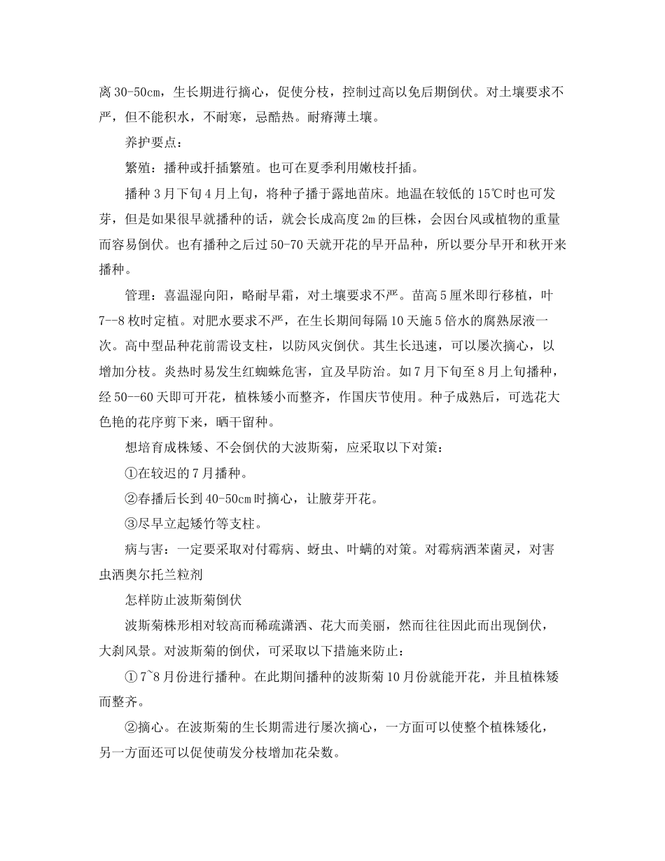 2023年波斯菊的花语.docx_第3页