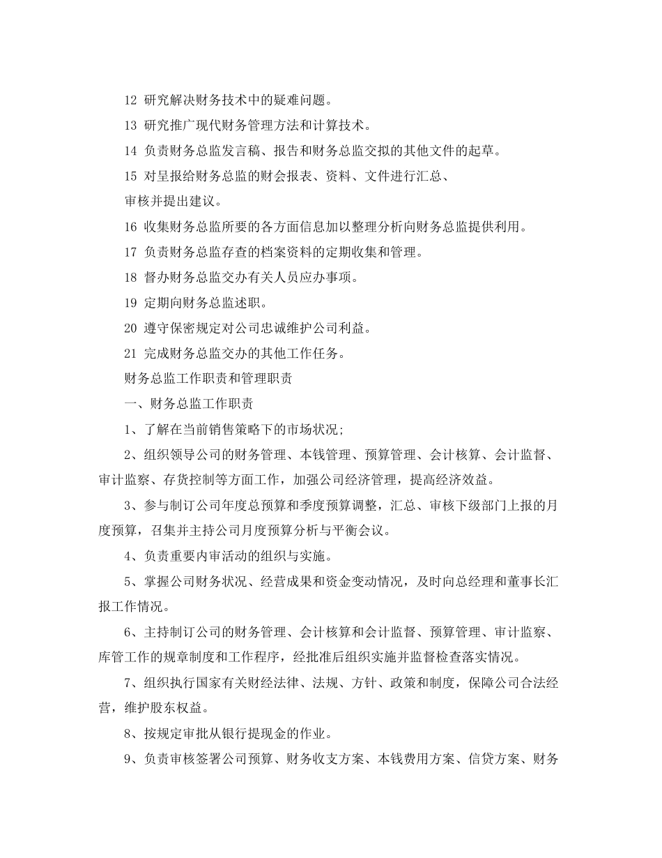 2023年财务总监工作职责范围范文.docx_第3页