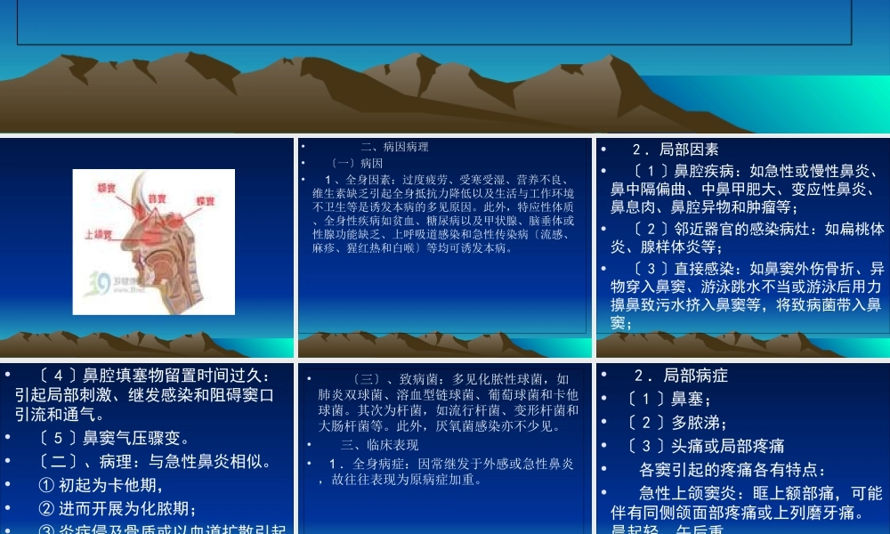 2023年鼻窦炎（教学课件）.ppt