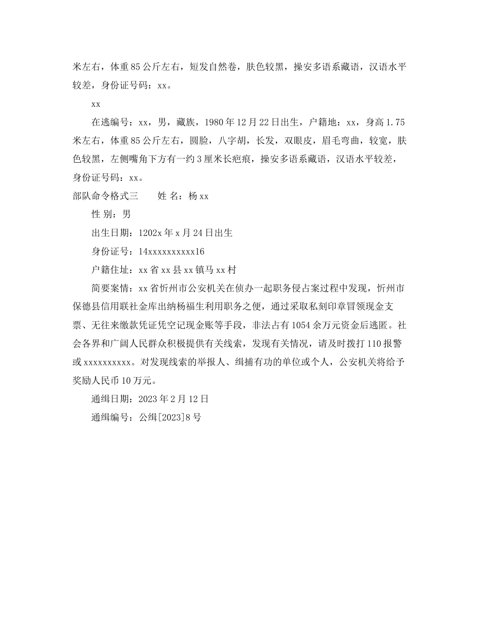 2023年部队命令格式.docx_第3页