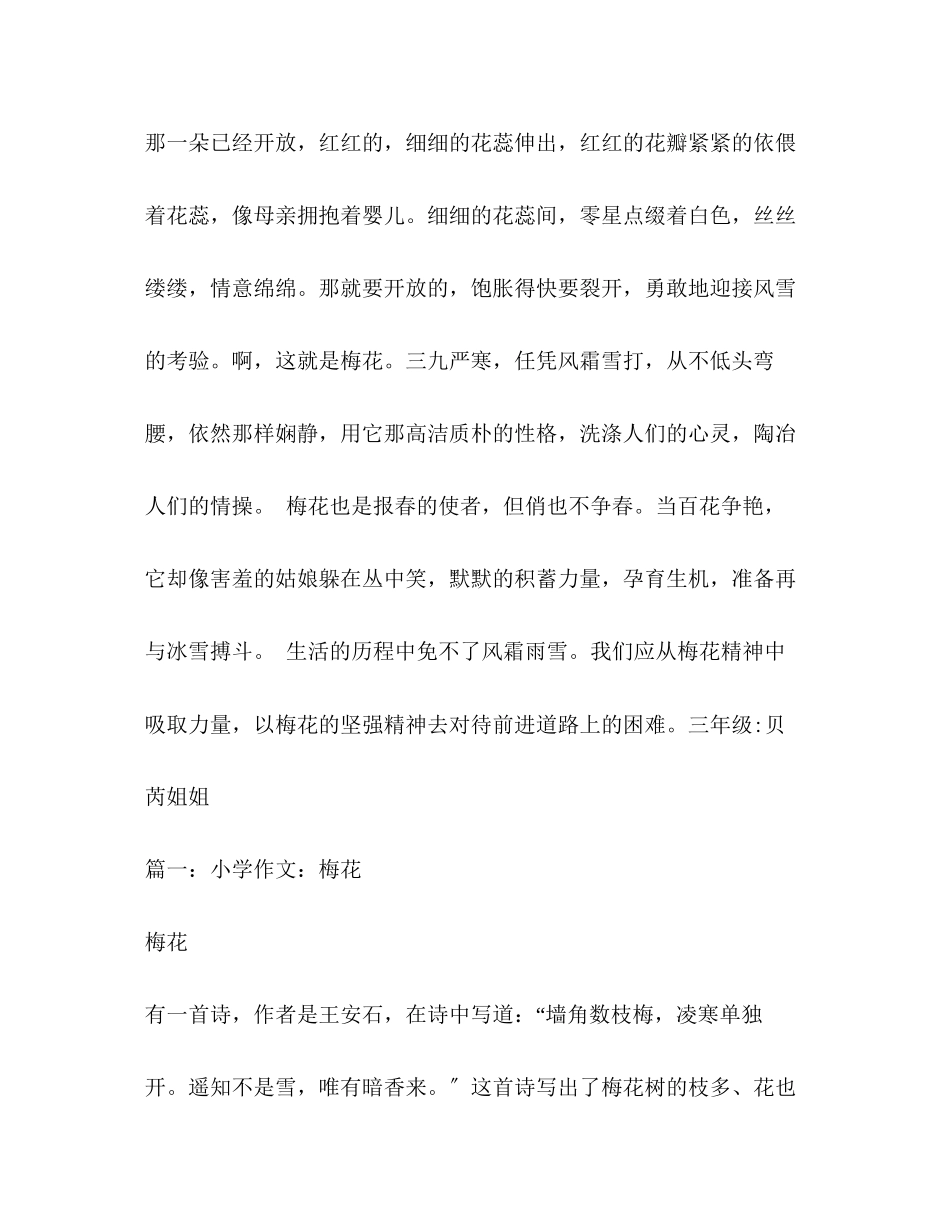 2023年写梅花的作文600字.docx_第2页