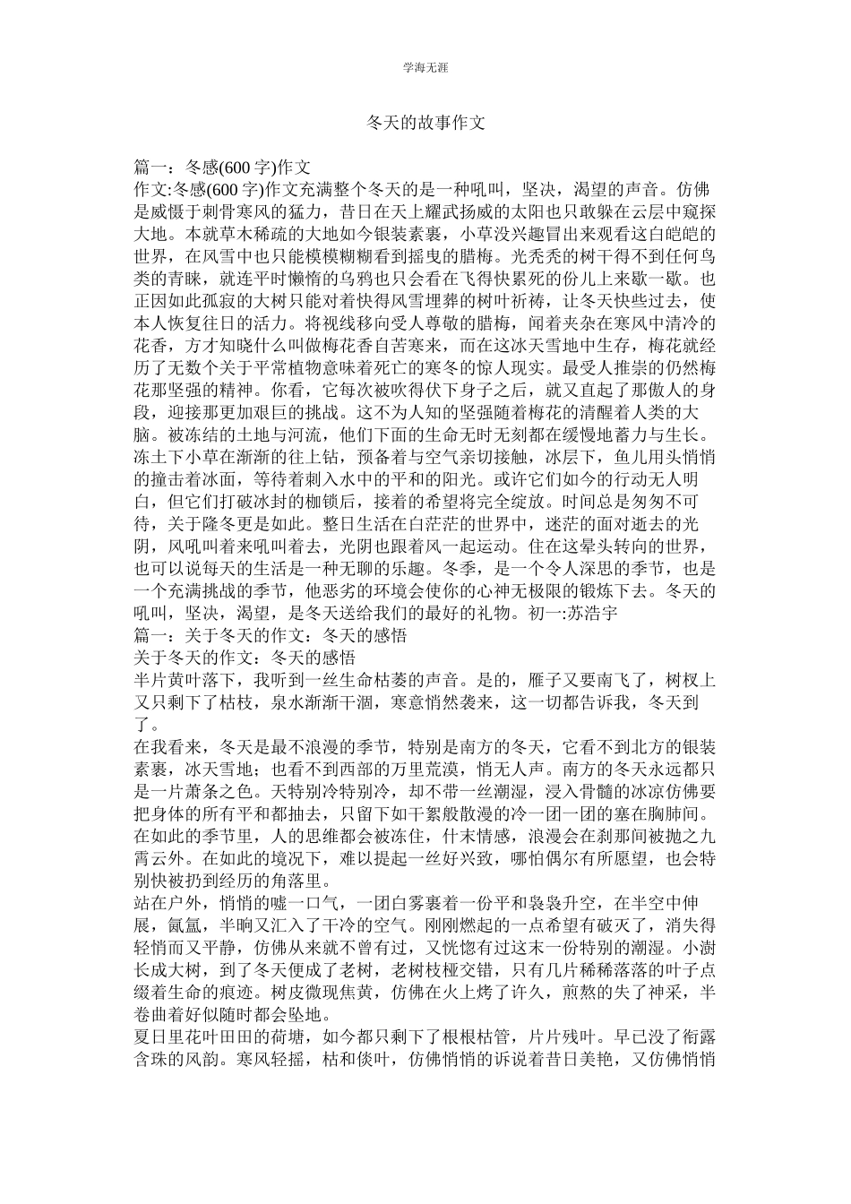 2023年冬天的故事作文范文.docx_第1页