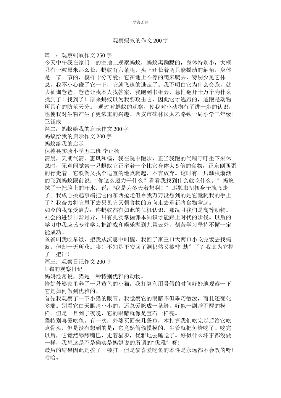 2023年观察蚂蚁的作文200字.docx_第1页