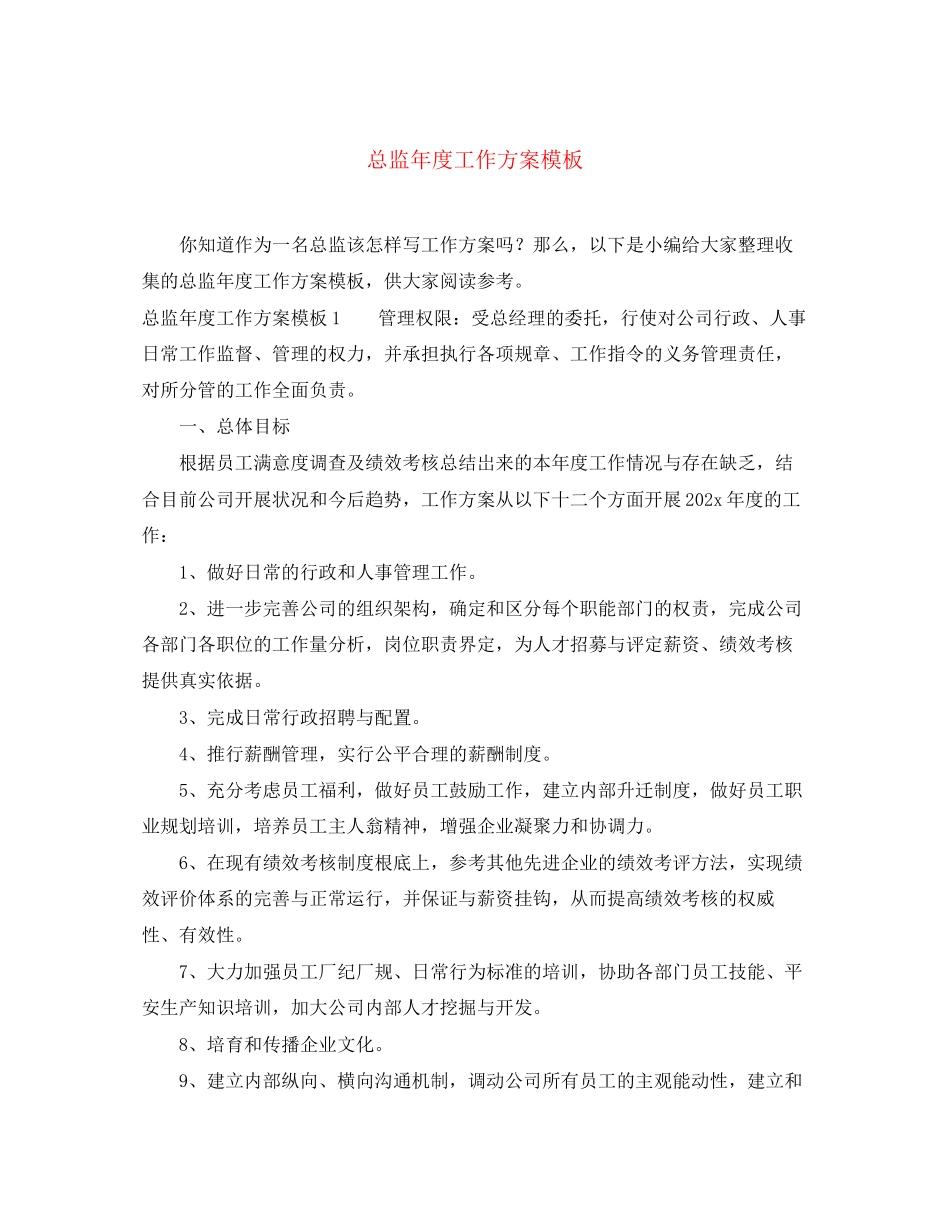 2023年总监度工作计划模板范文.docx_第1页