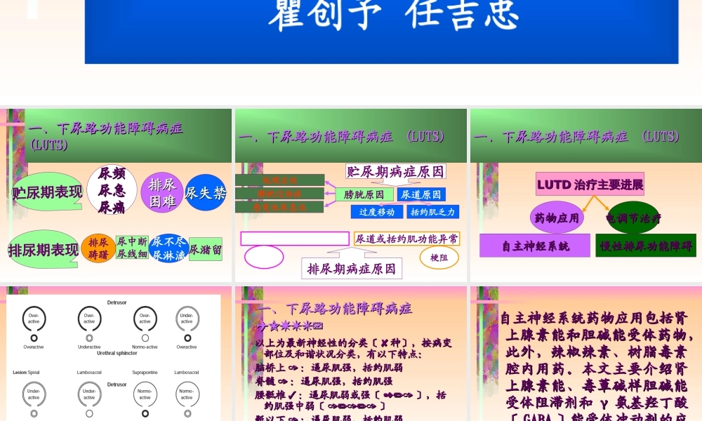 2023年下尿路征候群药物应用（教学课件）.ppt