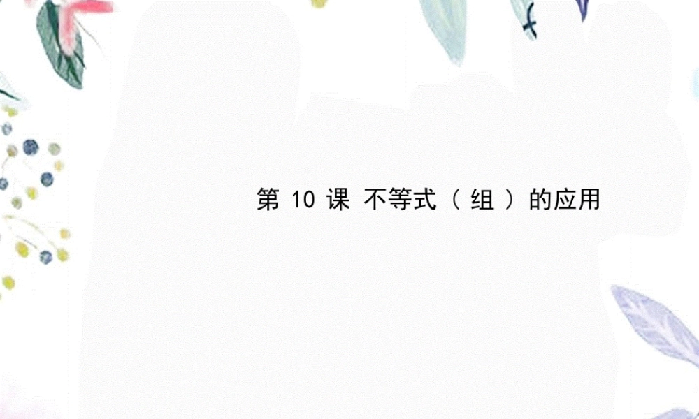 2023年中考数学复习 第二方程与不等式 第课 不等式组的应用（教学课件）.ppt