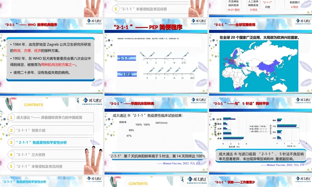 2023年代表用PPT（教学课件）.ppt