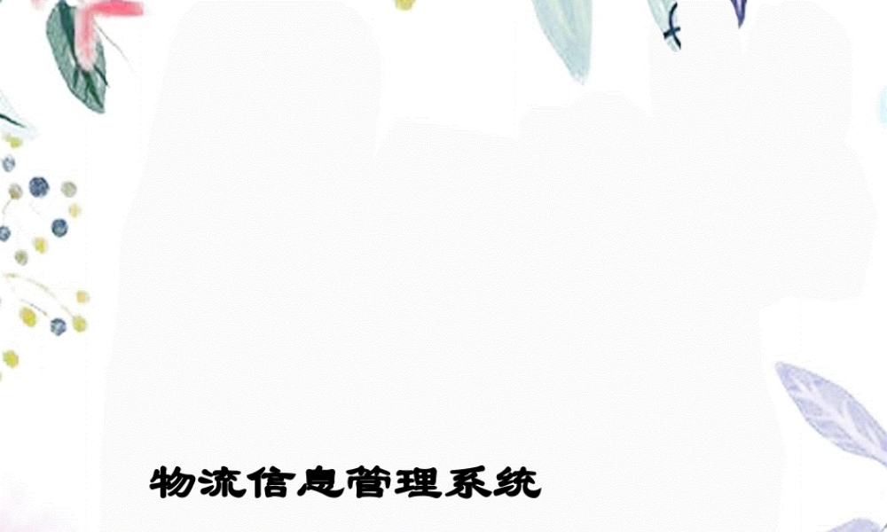 2023年信息管理系统概述1（教学课件）.ppt
